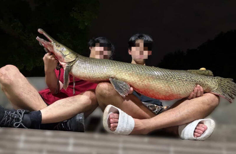 吃掉228公園吉祥物惹眾怒　成大釣魚社創始社長遭爆早有前例、北市府開罰2釣客各罰3600元揭不移除原因