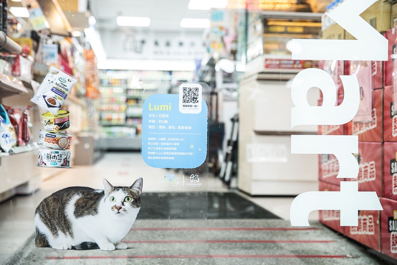 貓奴集合了！全家「貓之日」萌翻登場 巨貓現身、貓咪制服、黃金熱貓一次看