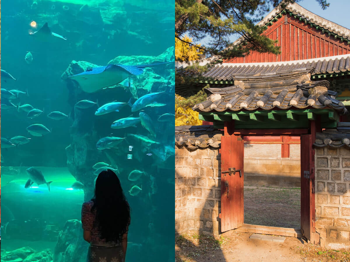 韓國景點｜跟著韓劇男女主角踩點去 盤點六個熱門打卡區