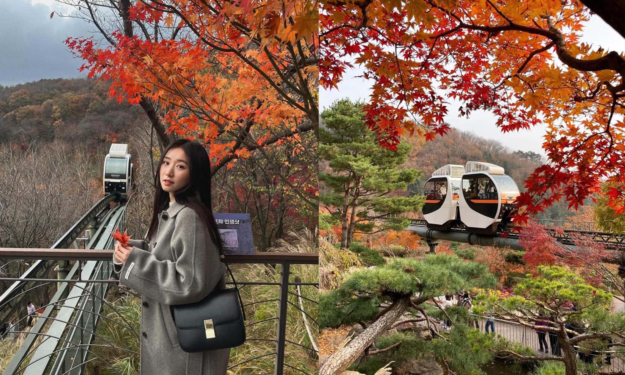 韓國景點｜和談林一日遊！韓國最佳賞紅楓地點 搭單軌列車穿梭山野