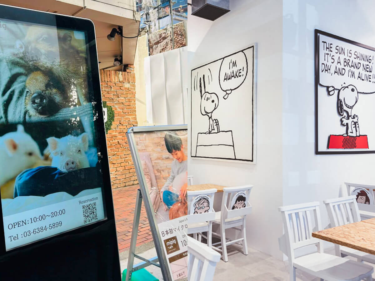 2025人氣日本咖啡廳｜直擊東京最新開幕的BONTEMP、HONOLULU、史努比、PAP COFFEE等7大打卡點