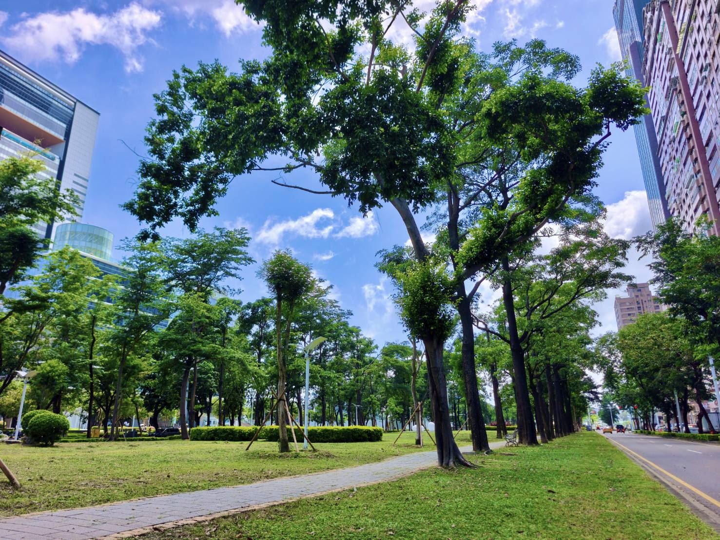 颱風重創後重生！高雄市亞灣新光園道改善倒數　8月完工迎來休閒與景觀全面升級