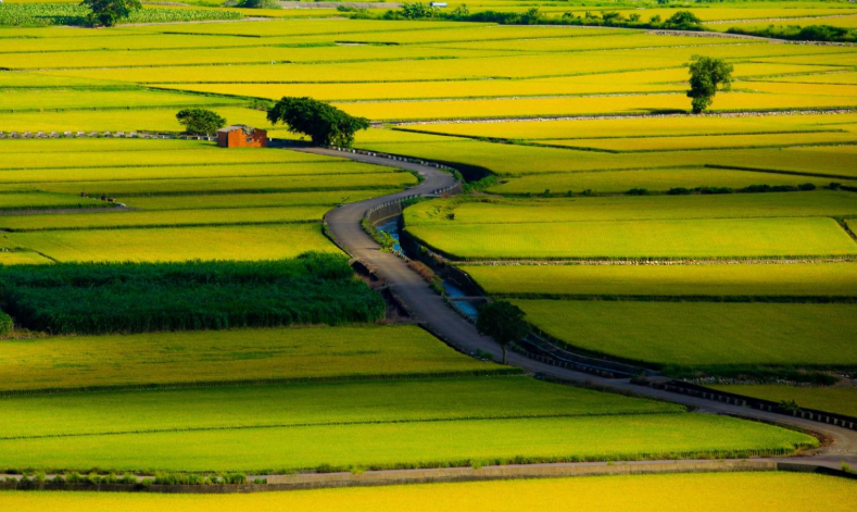想返鄉務農？黃偉哲市長推青農政策助攻　臺南釋出114年耕地首波名單