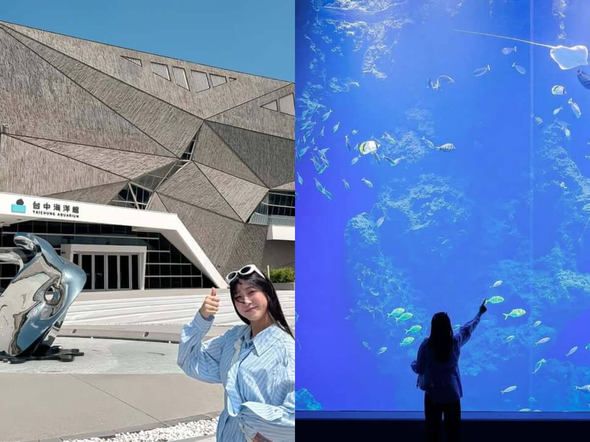 台中親子景點｜開箱台中新地標 台中海洋館門票、交通、必看展區懶人包