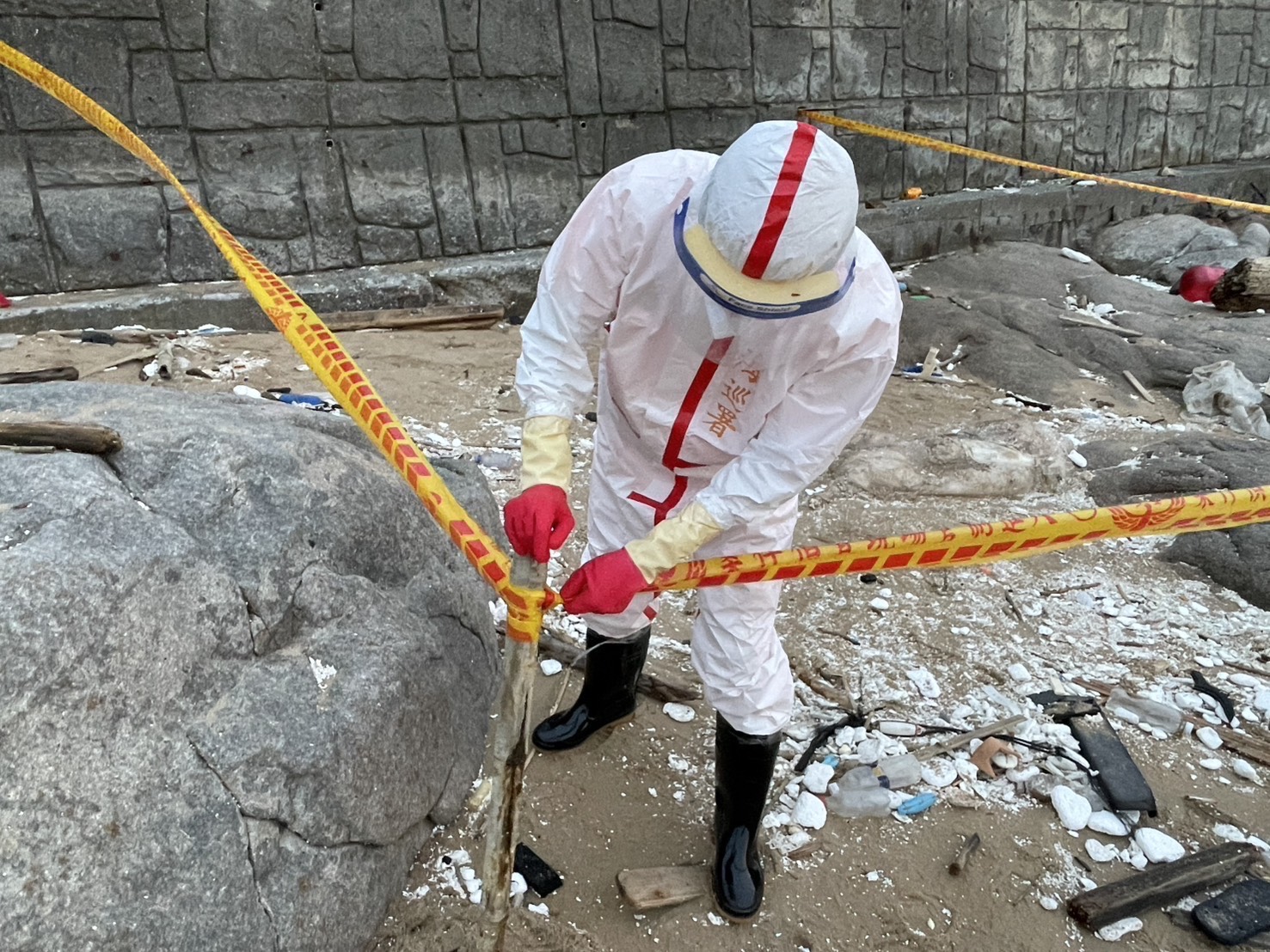 連假前夕馬祖北竿出現海漂豬　海巡署嚴守國門防疫總動員全面啟動應變機制