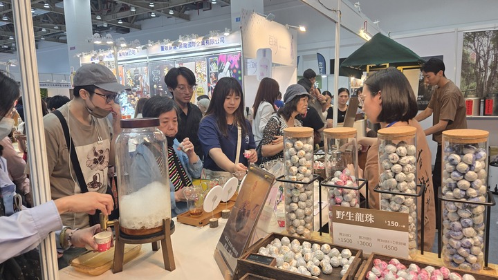 中臺灣會展經濟全面起飛！臺中國際會展中心137萬人次湧入掀消費熱潮