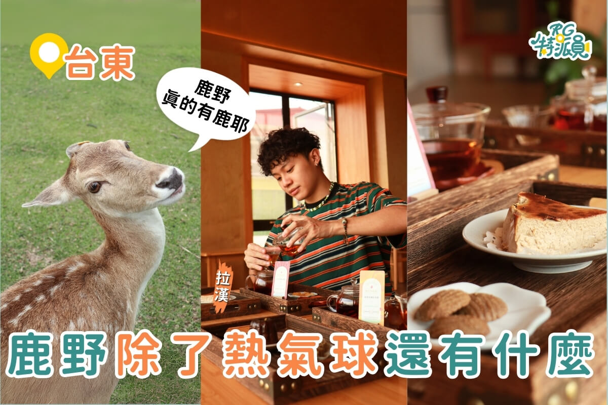 台東親子一日遊｜來鹿野不只有熱氣球可以玩 超療癒行程3大景點推薦