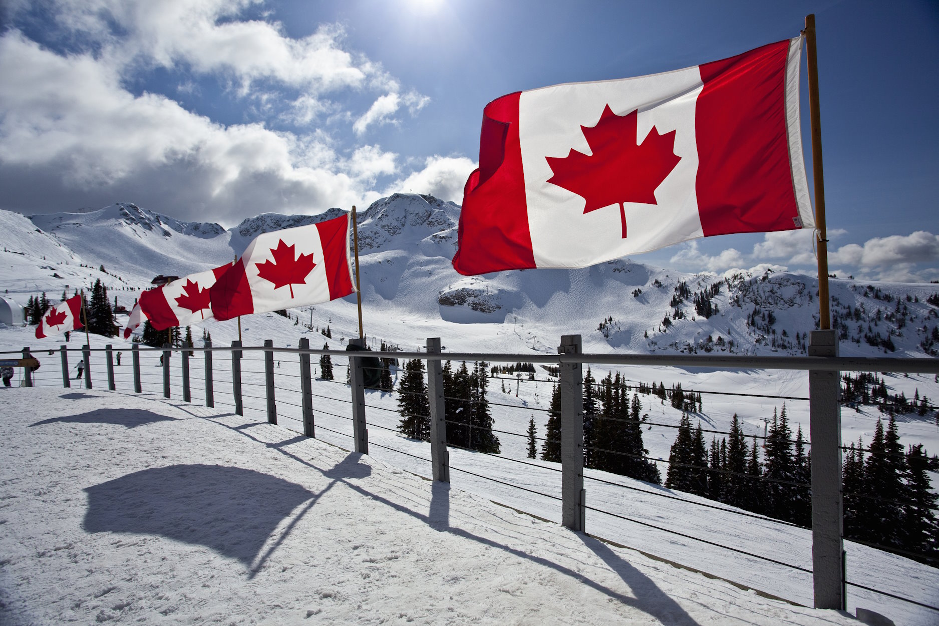 川普關稅政策影響加拿大二手車市場