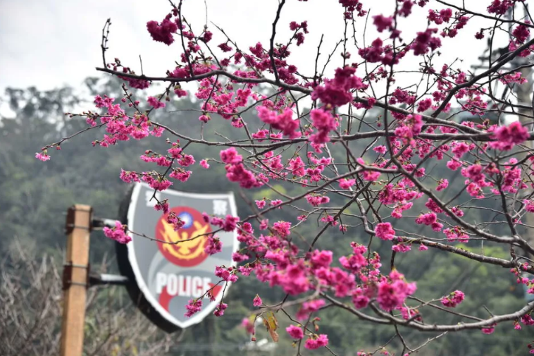 警界不容僥倖！臺中「最美派出所」所長勤務飲酒 遭嚴懲記過調職