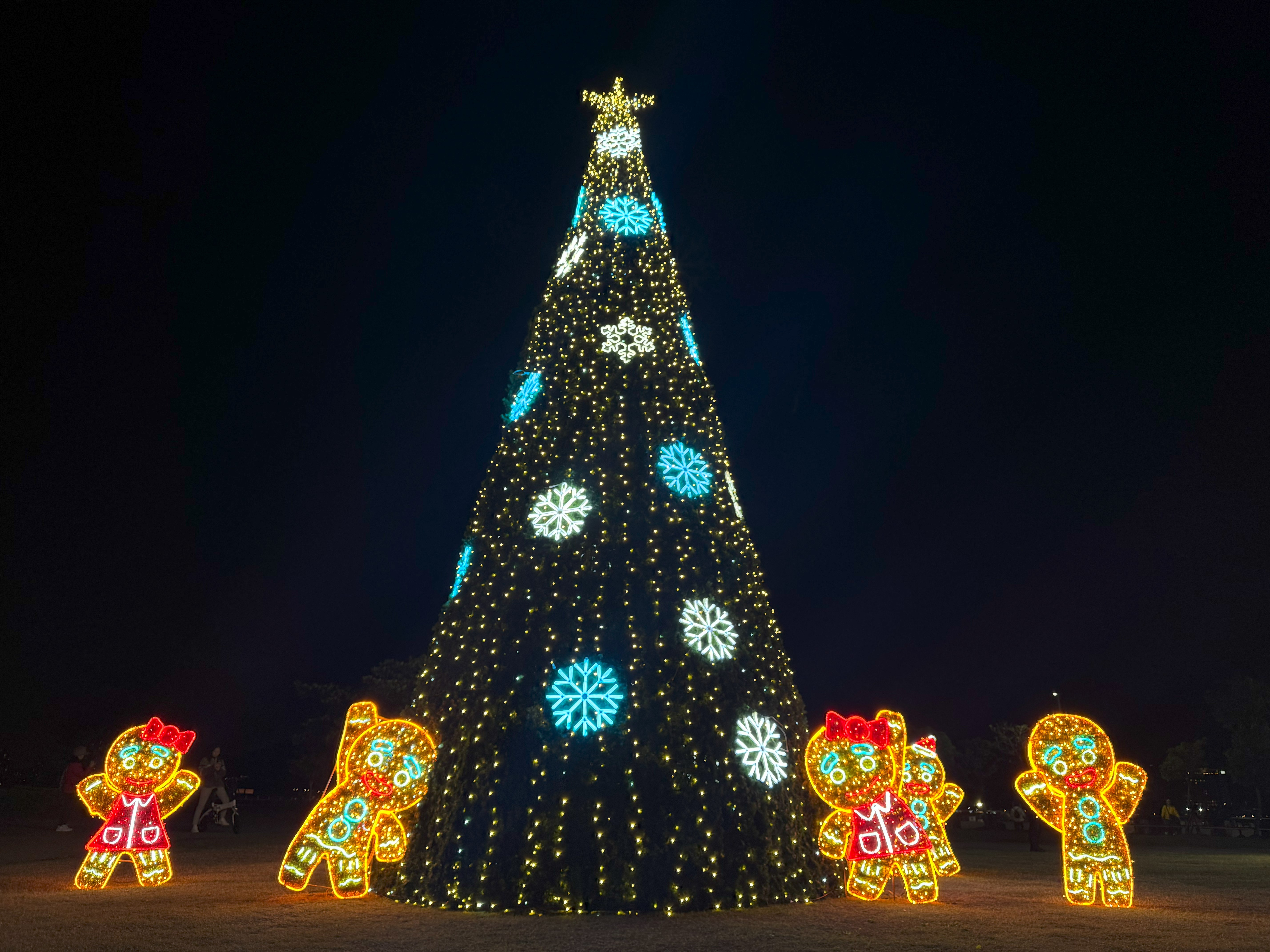 新北市打造年底夢幻夜景　淡水金色水岸六大主題光雕12月20日亮燈成為打卡焦點