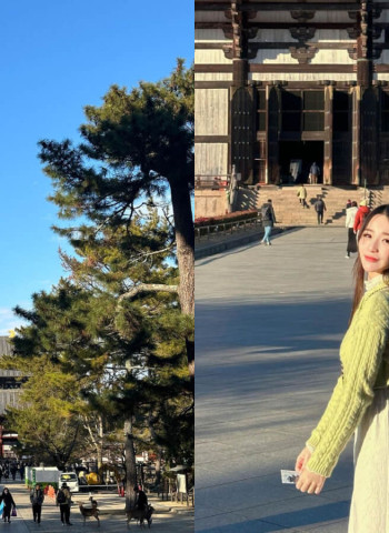 日本景點｜奈良旅遊全攻略、千年古都必訪行程可不只有餵鹿