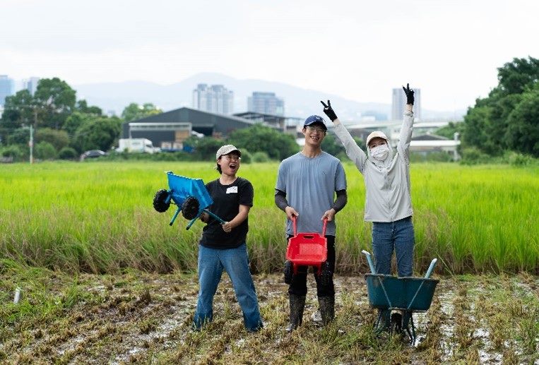 秋日嘉年華必去！2025關渡那麼田系列活動稻香運動會挑戰趣味闖關親子必玩
