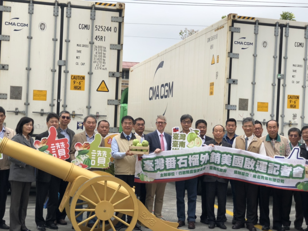 成功打入歐盟市場！臺南芒果、芭樂外銷捷報 臺南市府與中央協力開新路
