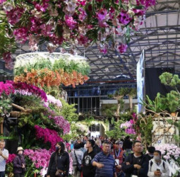 婦女節賞花新選擇　AI花海邂逅春日浪漫、2026臺灣國際蘭展串聯燈會展現蘭花魅力新體驗