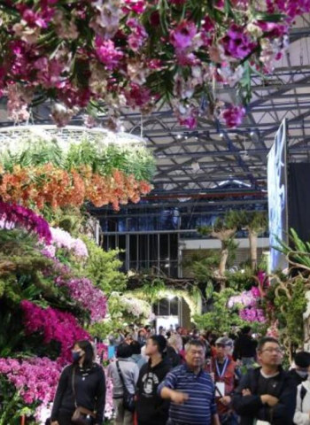 婦女節賞花新選擇　AI花海邂逅春日浪漫、2026臺灣國際蘭展串聯燈會展現蘭花魅力新體驗